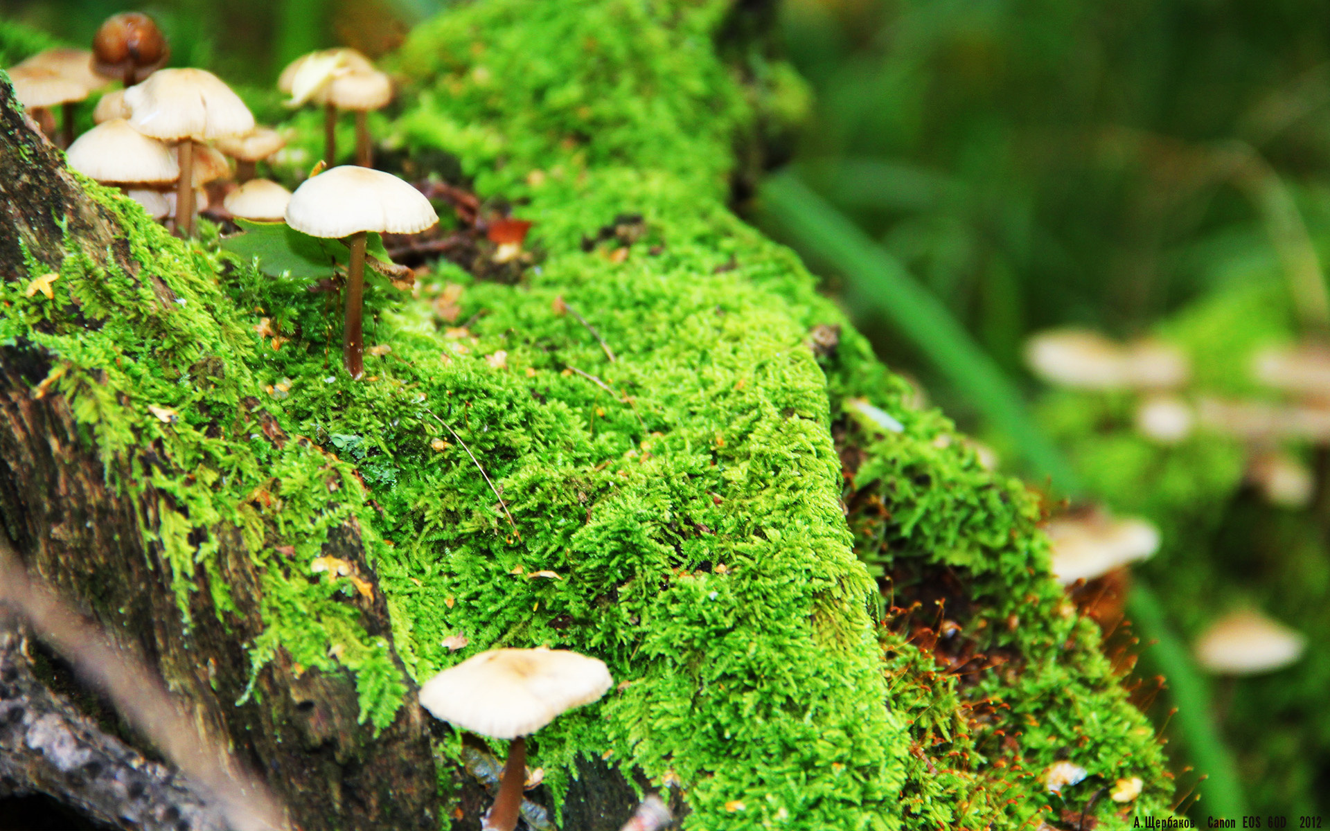 ac米兰中文官网-体育产业资本运作新模式探索,体育产业资本的概念