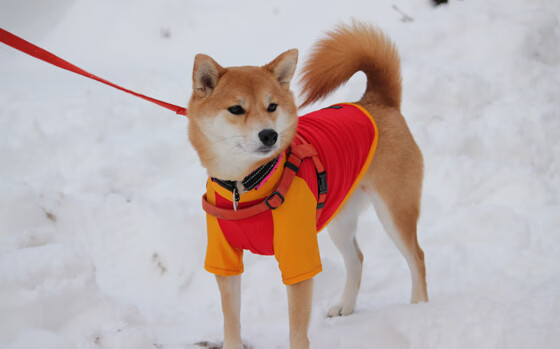 米兰体育赛事-全国青少年攀岩赛在贵州开赛，年轻军团展风采，2021年全国青少年攀岩锦标赛